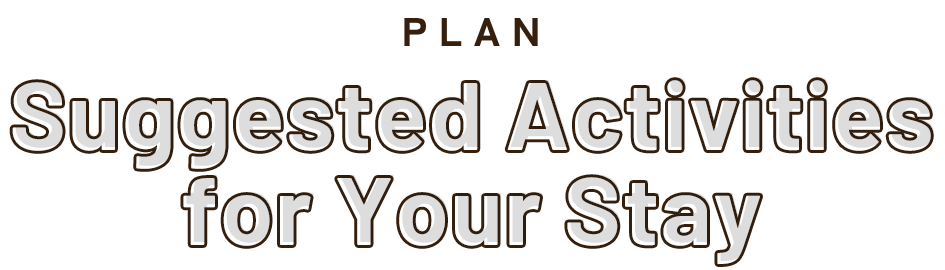 おすすめプラン