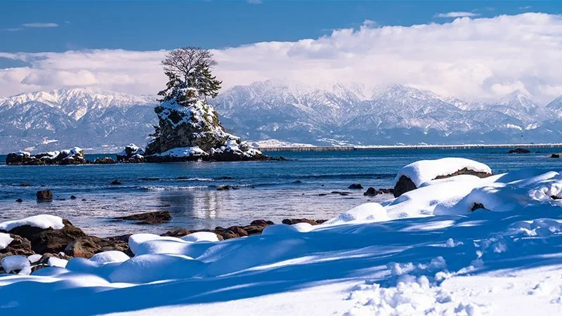 冬の雨晴海岸と立山連峰 画像