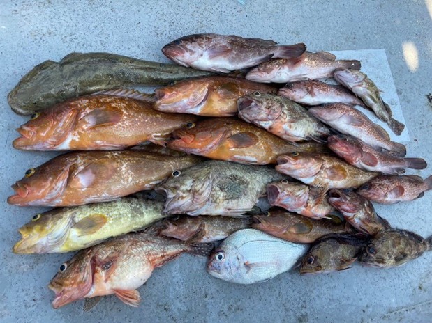【手ぶらでOK】釣って食べて持ち帰る！高岡をまるごと楽しむ夏の2泊3日！
